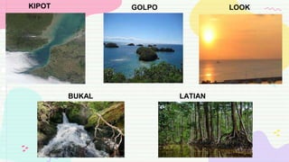 KIPOT GOLPO LOOK
BUKAL LATIAN
 