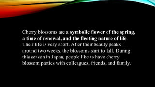 Cherry blossoms are a symbolic flower of the spring,
a time of renewal, and the fleeting nature of life.
Their life is very short. After their beauty peaks
around two weeks, the blossoms start to fall. During
this season in Japan, people like to have cherry
blossom parties with colleagues, friends, and family.
 