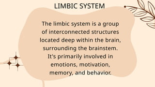 THE BRAIN AND LIMBIC SYSTEM – PARTS AND FUNCTION | PPTX