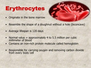 • Originate in the bone marrow
• Resemble the shape of a doughnut without a hole (biconcave)
• Average lifespan is 120 days
• Normal value = approximately 4 to 5.5 million per cubic
millimeter of blood
• Contains an iron-rich protein molecule called hemoglobin
• Responsible for carrying oxygen and removing carbon dioxide
from every body cell
o 13
 