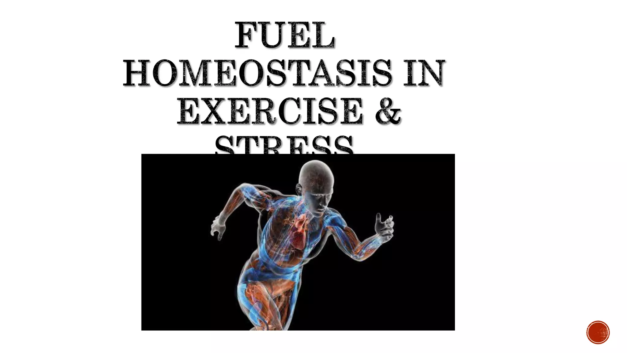 A closer look at And Energy Homeostasis