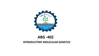 ABG -402
INTRODUCTORY MOLECULAR GENETICS
 