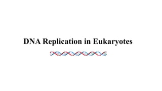 DNA Replication in Eukaryotes
 