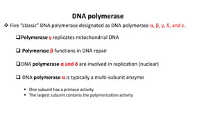 DNA polymerase
 Five “classic” DNA polymerase designated as DNA polymerase α, β, γ, δ, and ε.
Polymerase γ replicates mitochondrial DNA
 Polymerase β functions in DNA repair
DNA polymerase α and δ are involved in replication (nuclear)
 DNA polymerase α is typically a multi-subunit enzyme
 One subunit has a primase activity
 The largest subunit contains the polymerization activity
 