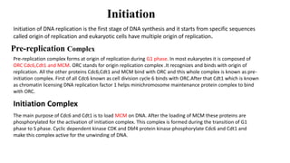 Initiation
Initiation of DNA replication is the first stage of DNA synthesis and it starts from specific sequences
called origin of replication and eukaryotic cells have multiple origin of replication.
Pre-replication Complex
Pre-replication complex forms at origin of replication during G1 phase. In most eukaryotes it is composed of
ORC Cdc6,Cdt1 and MCM. ORC stands for origin replication complex .It recognizes and binds with origin of
replication. All the other proteins Cdc6,Cdt1 and MCM bind with ORC and this whole complex is known as pre-
initiation complex. First of all Cdc6 known as cell division cycle 6 binds with ORC.After that Cdt1 which is known
as chromatin licensing DNA replication factor 1 helps minichromosome maintenance protein complex to bind
with ORC.
Initiation Complex
The main purpose of Cdc6 and Cdt1 is to load MCM on DNA. After the loading of MCM these proteins are
phosphorylated for the activation of initiation complex. This complex is formed during the transition of G1
phase to S phase. Cyclic dependent kinase CDK and Dbf4 protein kinase phosphorylate Cdc6 and Cdt1 and
make this complex active for the unwinding of DNA.
 