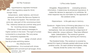 2.2 The Forebrain
. .
.:---i---r1e hypothalamus regulates homeost
asis. It has regulatory areas for thirst,
hunger, body
temperature, water balance, and blood
pressure, and links the Nervous System to
the Endocrine System. The mid brain and
pons are also part of the unconscious brain.
The thalamus serves as a central relay point
for IncomIng nervous messages.
•Thalamus - Direct sensory messages to
higher centers in the brain. The sight of sunset
is directed to a visual area. The only sense
that completely bypasses the
thalamus is the sense of smell, which
has its private switching station,
the olfactory bulb.
•Hypothalamus - It is involved with drives
associated with survival such as hunger, thirst,
emotion, sex, and
1.2The Limbic System
Amygdala - Responsible for evaluating sensory
information. It determines its emotional importance. It
makes the decision to approach or to withdraw. Its
initial response may be overridden by the appraisal of
the cerebral cortex
Hippocampus - is the gate way to memory.
Cerebrum - Higher forms of thinking take place in it. It is
divided into two halves called the cerebral
hemispheres that are connected by a large band of
fibers called the corpus callosum. They have different
tasks (lateralization). The cerebrum governs
intelligence and reasoning, learning and memory.
The Cerebral Cortex -The cerebrum is covered by
several thin layers of densely packed cells known as the
cerebral cortex. On each cerebral hemisphere, deep
fissures divide the cortex into 4 lobes.
 