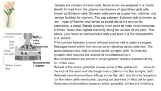 THE BRAIN IS THE ULTIMATE ORGAN OF ADAPTATION. IT TAKES IN INFORMATION
AND ORCHESTRATES COMPLEX BEHAVIORAL REPERTOIRES THAT ALLOW HUMAN
BEINGS TO ACT IN SOMETIMES MARVELOUS, SOMETIMES TERRIBLE WAYS. MOST OF
WHAT PEOPLE THINK OF AS THE ''SELF''-WHAT WE THINK, WHAT WE REMEMBER,
WHAT WE CAN DO, HOW WE FEEL-IS ACQUIRED BY THE BRAIN FROM THE
EXPERIENCES THAT OCCUR AFTER BIRTH. SOME OF THIS INFORMATION IS
ACQUIRED DURING CRITICAL OR SENSITIVE PERIODS OF DEVELOPMENT, WHEN THE
BRAIN APPEARS UNIQUELY READY TO TAKE IN CERTAIN KINDS OF INFORMATION,
WHILE OTHER INFORMATION CAN BE ACQUIRED ACROSS BROAD SWATHS OF
DEVELOPMENT THAT CAN EXTEND INTO ADULTHOOD.
THIS SPECTRUM OF POSSIBILITIES IS WELL CAPTURED BY COINCIDING EVIDENCE
OF
BOTH THE REMARKABLY RAPID BRAIN DEVELOPMENT THAT CHARACTERIZES THE
EARLY CHILDHOOD PERIOD AND THE BRAIN'S LIFELONG CAPACITY FOR
GROWTH AND CHANGE. THE BALANCE BETWEEN THE ENDURING SIGNIFICANCE
OF EARLY BRAIN DEVELOPMENT AND ITS IMPRESSIVE CONTINUING
PLASTICITY LIES AT THE HEART OF THE CURRENT CONTROVERSY ABOUT THE
EFFECTS ON THE BRAIN OF EARLY EXPERIENCE.
 