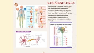 GROUP-3 the information in the topic three .pptx