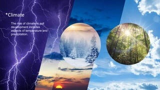 Climate Formation Chemistry of Soil. Layer composition factors etc | PDF