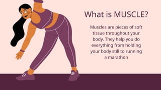 What is MUSCLE?
Muscles are pieces of soft
tissue throughout your
body. They help you do
everything from holding
your body still to running
a marathon
 