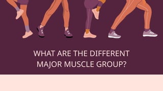 WHAT ARE THE DIFFERENT
MAJOR MUSCLE GROUP?
 