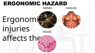 ERGONOMIC HAZARD
Ergonomic
injuries
affects the
TISSUES
MUSCLES
NERVES
 