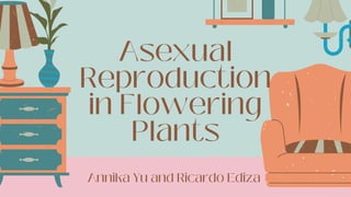 Asexual
Reproduction
in Flowering
Plants
Annika Yu and Ricardo Ediza
 