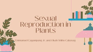 Sexual
Reproduction in
Plants
Emmanuel Cagampang Jr. and Aikah Shiho Cabasag
 