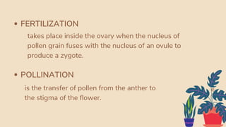 POLLINATION
is the transfer of pollen from the anther to
the stigma of the flower.
FERTILIZATION
takes place inside the ovary when the nucleus of
pollen grain fuses with the nucleus of an ovule to
produce a zygote.
e
 