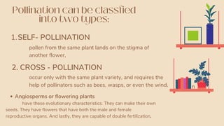 Pollination can be classfied
into two types:
SELF- POLLINATION
1.
2. CROSS - POLLINATION
pollen from the same plant lands on the stigma of
another flower,
occur only with the same plant variety, and requires the
help of pollinators such as bees, wasps, or even the wind.
Angiosperms or flowering plants
have these evolutionary characteristics. They can make their own
seeds. They have flowers that have both the male and female
reproductive organs. And lastly, they are capable of double fertilization.
n
 