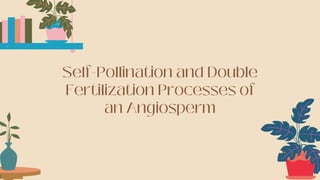 Self-Pollination and Double
Fertilization Processes of
an Angiosperm
t
 