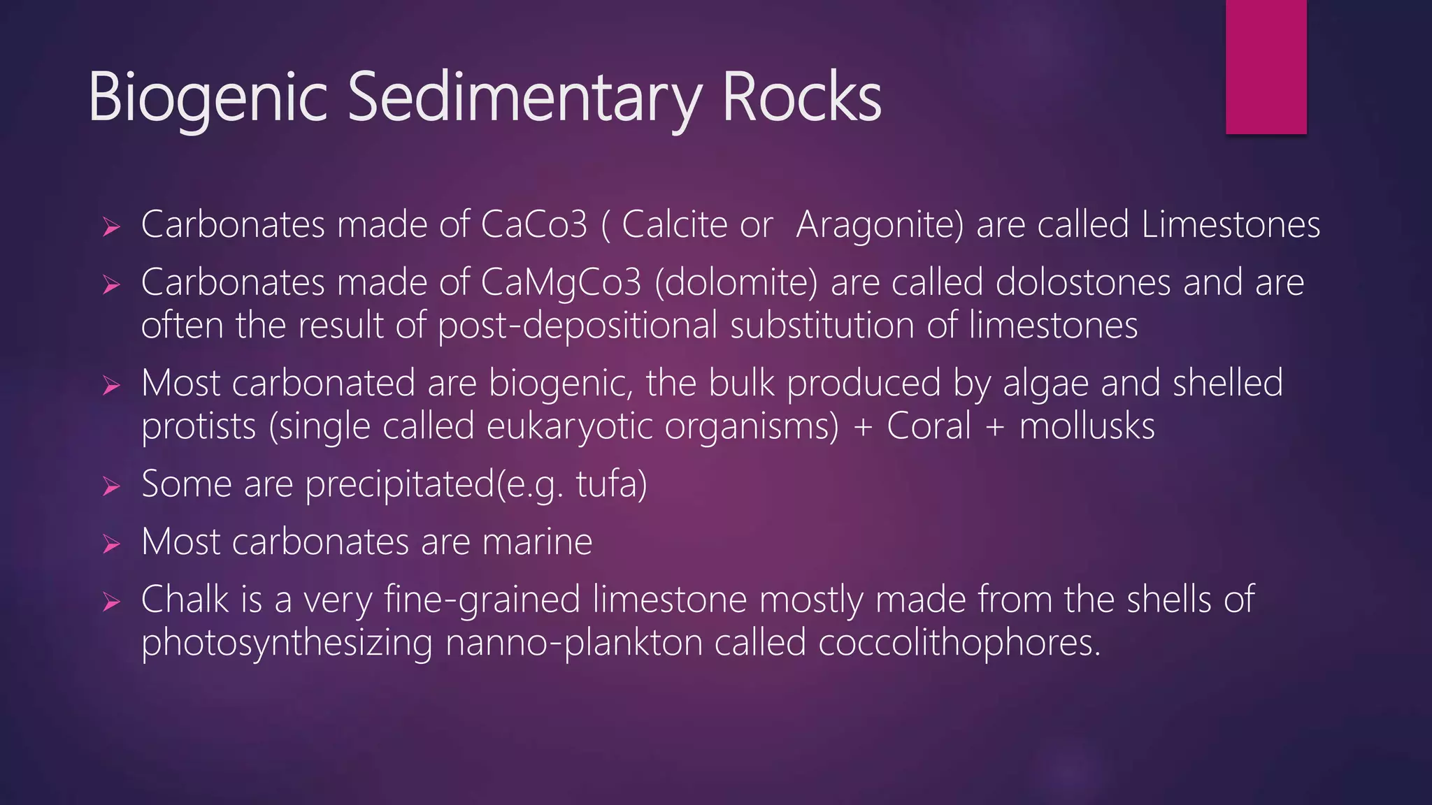 Clastic and Non-Clastic Sediments | PPTX