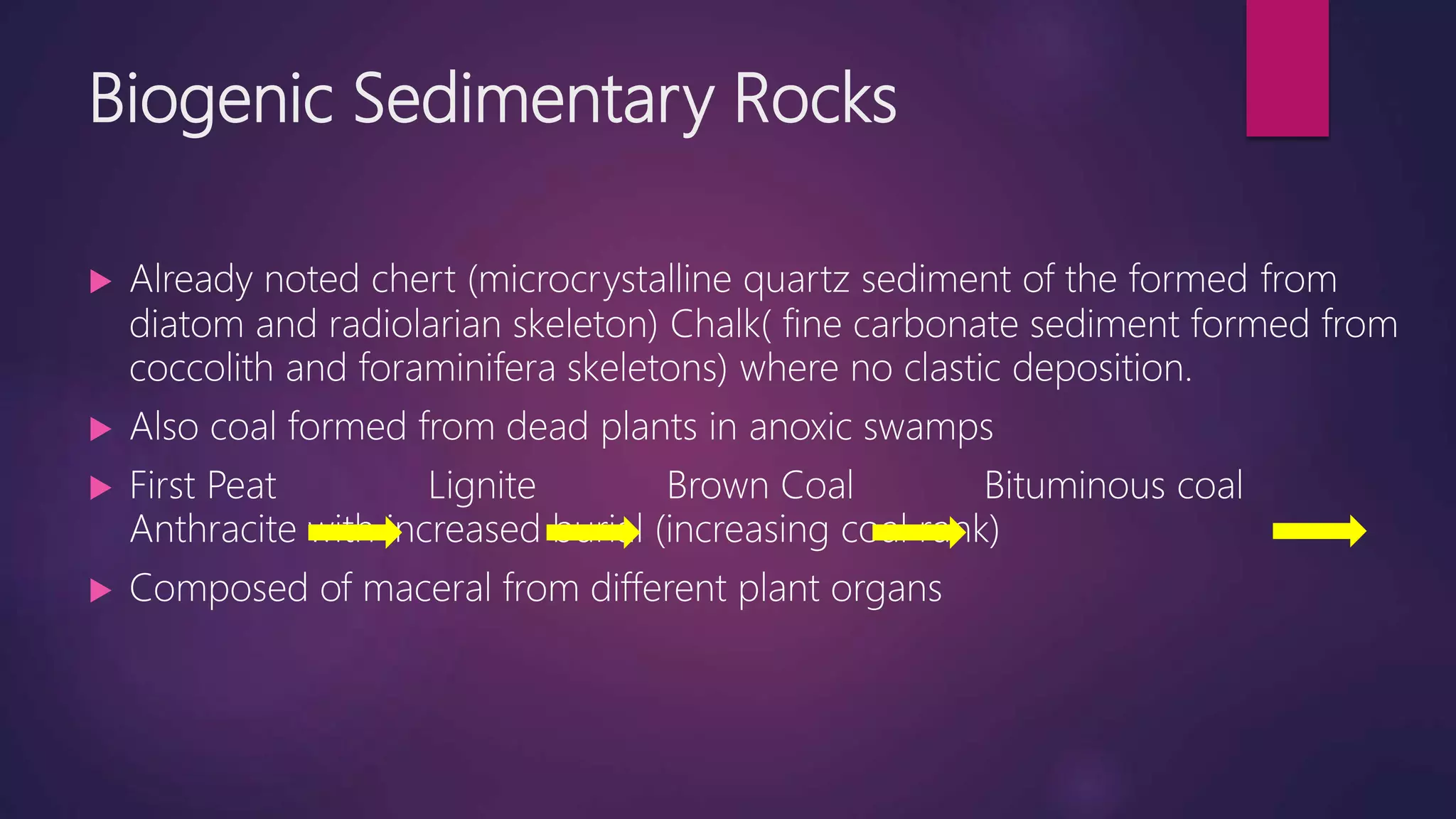 Clastic and Non-Clastic Sediments | PPTX
