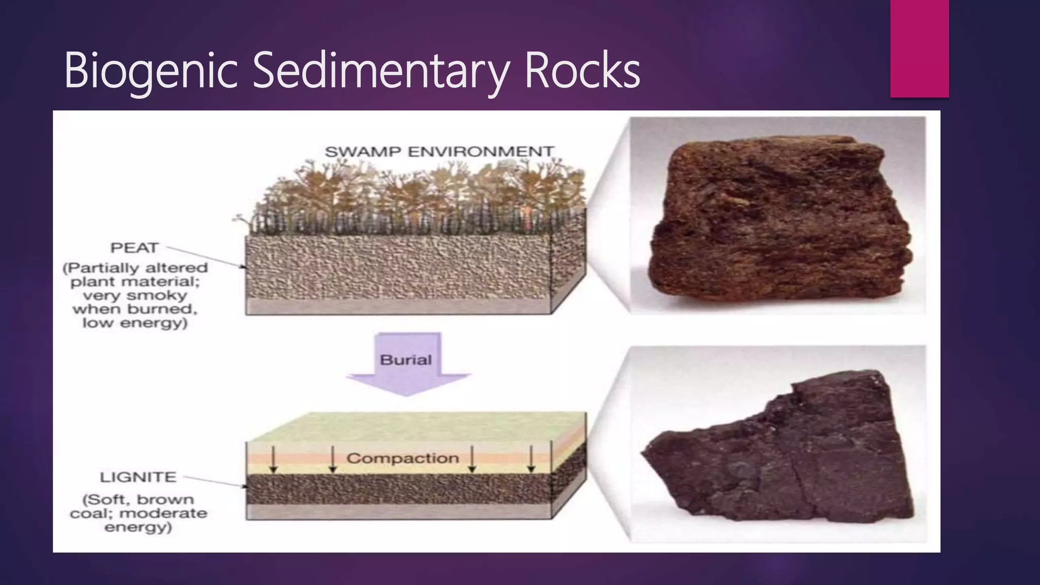 Clastic and Non-Clastic Sediments | PPTX