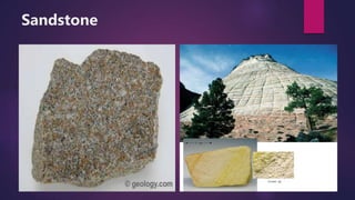 Clastic and Non-Clastic Sediments | PPTX