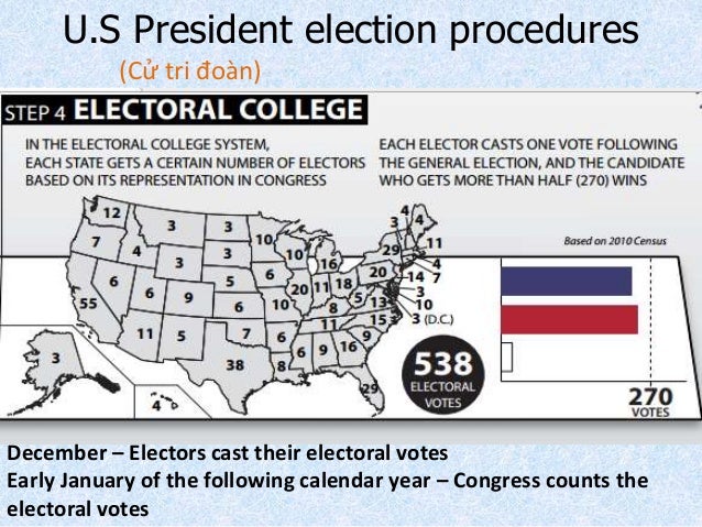 electoral college process flowchart us president election and political institution electoral college process flowchart us president election and political institution