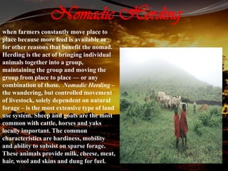 Nomadic Herding
when farmers constantly move place to
place because more feed is available or
for other reasons that benefit the nomad.
Herding is the act of bringing individual
animals together into a group,
maintaining the group and moving the
group from place to place — or any
combination of those. Nomadic Herding –
the wandering, but controlled movement
of livestock, solely dependent on natural
forage – is the most extensive type of land
use system. Sheep and goats are the most
common with cattle, horses and yaks
locally important. The common
characteristics are hardiness, mobility
and ability to subsist on sparse forage.
These animals provide milk, cheese, meat,
hair, wool and skins and dung for fuel.
 