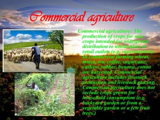 Commercial agriculture
Commercial agriculture: The
production of crops for sale,
crops intended for widespread
distribution to wholesalers or
retail outlets (e.g. supermarkets).
In commercial farming wheat,
maize, tea, coffee, sugarcane,
cashew, rubber, banana, cotton
are harvested. Commercial
agriculture includes livestock
production and livestock grazing.
Commercial agriculture does not
include crops grown for
household consumption (e.g.
backyard garden or from a
vegetable garden or a few fruit
trees.)
 