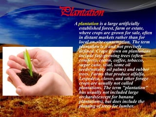 Plantation
A plantation is a large artificially
established forest, farm or estate,
where crops are grown for sale, often
in distant markets rather than for
local on-site consumption. The term
plantation is o and not precisely
defined. Crops grown on plantations
include fast-growing trees (often
conifers), cotton, coffee, tobacco,
sugar cane, sisal, some oil
seeds(notably oil palms) and rubber
trees. Farms that produce alfalfa,
Lespedeza, clover, and other forage
crops are usually not called
plantations. The term "plantation"
has usually not included large
orchards(except for banana
plantations), but does include the
planting of trees for lumber.
 