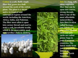 Cotton is a soft, fluffy staple
fiber that grows in a boll
around the seeds of the cotton
plant. The plant is a shrub
native to tropical and
subtropical regions around the
world, including the Americas,
Africa, India, and Pakistan.
The fiber most often is spun
into yarnor thread and used to
make a soft, breathable textile,
which is the most widely used
natural-fiber cloth in clothing.
Jute is a long, soft,
shiny vegetable
fiber that can be
spun into coarse,
strong threads.
Jute is one of the
most affordable
natural fibers.
Jute fibre is often
called hessian;
jute fabrics are
also called hessian
cloth and jute
sacks are called
gunny bags in
some European
countries. The
fabric made from
jute is popularly
known as
burlapin North
America.
 
