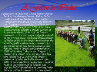 A Farm in India
Agriculture in India has a long history dating
back to ten thousand years. Today, India
ranks second worldwide in farm output.
Agriculture and allied sectors like forestry
and logging accounted for 16.6% of the
GDP in 2007, employed 52% of the total
workforce[and despite a steady decline of
its share in the GDP, is still the largest
economic sector and plays a significant role
in the overall socio-economic development
of India. India is the largest producer in the
world of milk, cashew nuts, coconuts, tea,
ginger, turmeric and black pepper. It also
has the world's largest cattle population
(281 million).[It is the second largest
producer of wheat, rice, sugar, groundnut
and inland fish.[It is the third largest
producer of tobacco. India accounts for
10% of the world fruit production with first
rank in the production of banana and
sapota. India's population is growing faster
than its ability to produce rice and wheat.
 