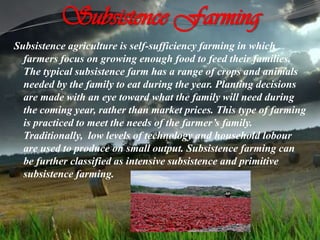 Subsistence Farming
Subsistence agriculture is self-sufficiency farming in which
farmers focus on growing enough food to feed their families.
The typical subsistence farm has a range of crops and animals
needed by the family to eat during the year. Planting decisions
are made with an eye toward what the family will need during
the coming year, rather than market prices. This type of farming
is practiced to meet the needs of the farmer’s family.
Traditionally, low levels of technology and household lobour
are used to produce on small output. Subsistence farming can
be further classified as intensive subsistence and primitive
subsistence farming.
 