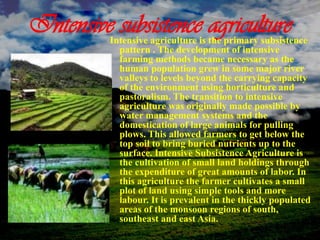 Intensive subsistence agricultureIntensive agriculture is the primary subsistence
pattern . The development of intensive
farming methods became necessary as the
human population grew in some major river
valleys to levels beyond the carrying capacity
of the environment using horticulture and
pastoralism. The transition to intensive
agriculture was originally made possible by
water management systems and the
domestication of large animals for pulling
plows. This allowed farmers to get below the
top soil to bring buried nutrients up to the
surface. Intensive Subsistence Agriculture is
the cultivation of small land holdings through
the expenditure of great amounts of labor. In
this agriculture the farmer cultivates a small
plot of land using simple tools and more
labour. It is prevalent in the thickly populated
areas of the monsoon regions of south,
southeast and east Asia.
 