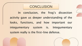 CONCLUSION
In conclusion, the frog’s dissection
activity gave us deeper understanding of the
looks, functions, and how important our
integumentary system is. Integumentary
system really is the first-line defense.
 