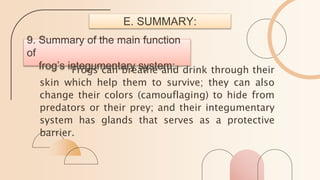 9. Summary of the main function
of
. frog’s integumentary system:
Frogs can breathe and drink through their
skin which help them to survive; they can also
change their colors (camouflaging) to hide from
predators or their prey; and their integumentary
system has glands that serves as a protective
barrier.
E. SUMMARY:
 