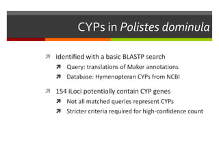 CYPs in Polistes dominula
 Identified with a basic BLASTP search
 Query: translations of Maker annotations
 Database: Hymenopteran CYPs from NCBI

 154 iLoci potentially contain CYP genes
 Not all matched queries represent CYPs
 Stricter criteria required for high-confidence count

 