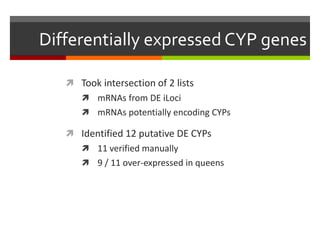 Differentially expressed CYP genes
 Took intersection of 2 lists
 mRNAs from DE iLoci
 mRNAs potentially encoding CYPs

 Identified 12 putative DE CYPs
 11 verified manually
 9 / 11 over-expressed in queens

 