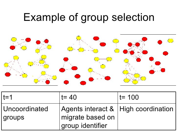 Group Selection Grid AWeSoMe07