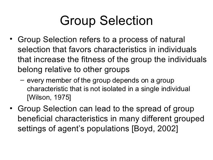 Group Selection Grid AWeSoMe07