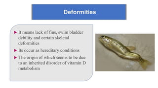 Deformities
 It means lack of fins, swim bladder
debility and certain skeletal
deformities
 Its occur as hereditary conditions
 The origin of which seems to be due
to an inherited disorder of vitamin D
metabolism
 