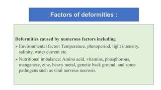 Factors of deformities :
Deformities caused by numerous factors including
 Environmental factor: Temperature, photoperiod, light intensity,
salinity, water current etc.
 Nutritional imbalance: Amino acid, vitamins, phosphorous,
manganese, zinc, heavy metal, genetic back ground, and some
pathogens such as viral nervous necrosis.
 