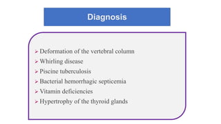Diagnosis
 Deformation of the vertebral column
 Whirling disease
 Piscine tuberculosis
 Bacterial hemorrhagic septicemia
 Vitamin deficiencies
 Hypertrophy of the thyroid glands
 
