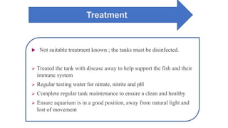 Treatment
 Not suitable treatment known ; the tanks must be disinfected.
 Treated the tank with disease away to help support the fish and their
immune system
 Regular testing water for nitrate, nitrite and pH
 Complete regular tank maintenance to ensure a clean and healthy
 Ensure aquarium is in a good position, away from natural light and
lost of movement
 