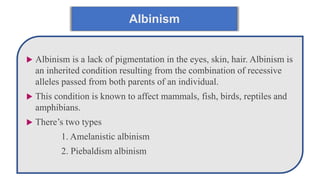 Albinism
 Albinism is a lack of pigmentation in the eyes, skin, hair. Albinism is
an inherited condition resulting from the combination of recessive
alleles passed from both parents of an individual.
 This condition is known to affect mammals, fish, birds, reptiles and
amphibians.
 There’s two types
1. Amelanistic albinism
2. Piebaldism albinism
 