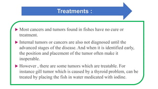 Treatments :
 Most cancers and tumors found in fishes have no cure or
treatment.
 Internal tumors or cancers are also not diagnosed until the
advanced stages of the disease. And when it is identified early,
the position and placement of the tumor often make it
inoperable.
 However , there are some tumors which are treatable. For
instance gill tumor which is caused by a thyroid problem, can be
treated by placing the fish in water medicated with iodine.
 