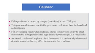 Causes:
 Fish-eye disease is caused by changes (mutations) in the LCAT gene.
 This gene encodes an enzyme that helps remove cholesterol from the blood and
certain tissues.
 Fish-eye disease occurs when mutations impair the enzyme's ability to attach
cholesterol to a lipoprotein called high-density lipoprotein (HDL), specifically.
 As a result, cholesterol begins to cloud the cornea. It is unclear why cholesterol
deposits almost exclusively affect the cornea in this condition.
 