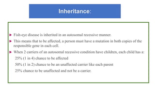 Inheritance:
 Fish-eye disease is inherited in an autosomal recessive manner.
 This means that to be affected, a person must have a mutation in both copies of the
responsible gene in each cell.
 When 2 carriers of an autosomal recessive condition have children, each child has a:
25% (1 in 4) chance to be affected
50% (1 in 2) chance to be an unaffected carrier like each parent
25% chance to be unaffected and not be a carrier.
 