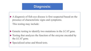 Diagnosis:
 A diagnosis of fish-eye disease is first suspected based on the
presence of characteristic signs and symptoms.
This testing may include:
 Genetic testing to identify two mutations in the LCAT gene.
 Testing that analyzes the function of the enzyme encoded by
the LCAT gene.
 Specialized urine and blood tests.
 