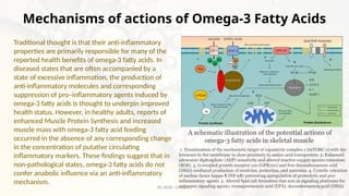 Omega Rafy Functional Foods and neutraceutical technology | PPTX