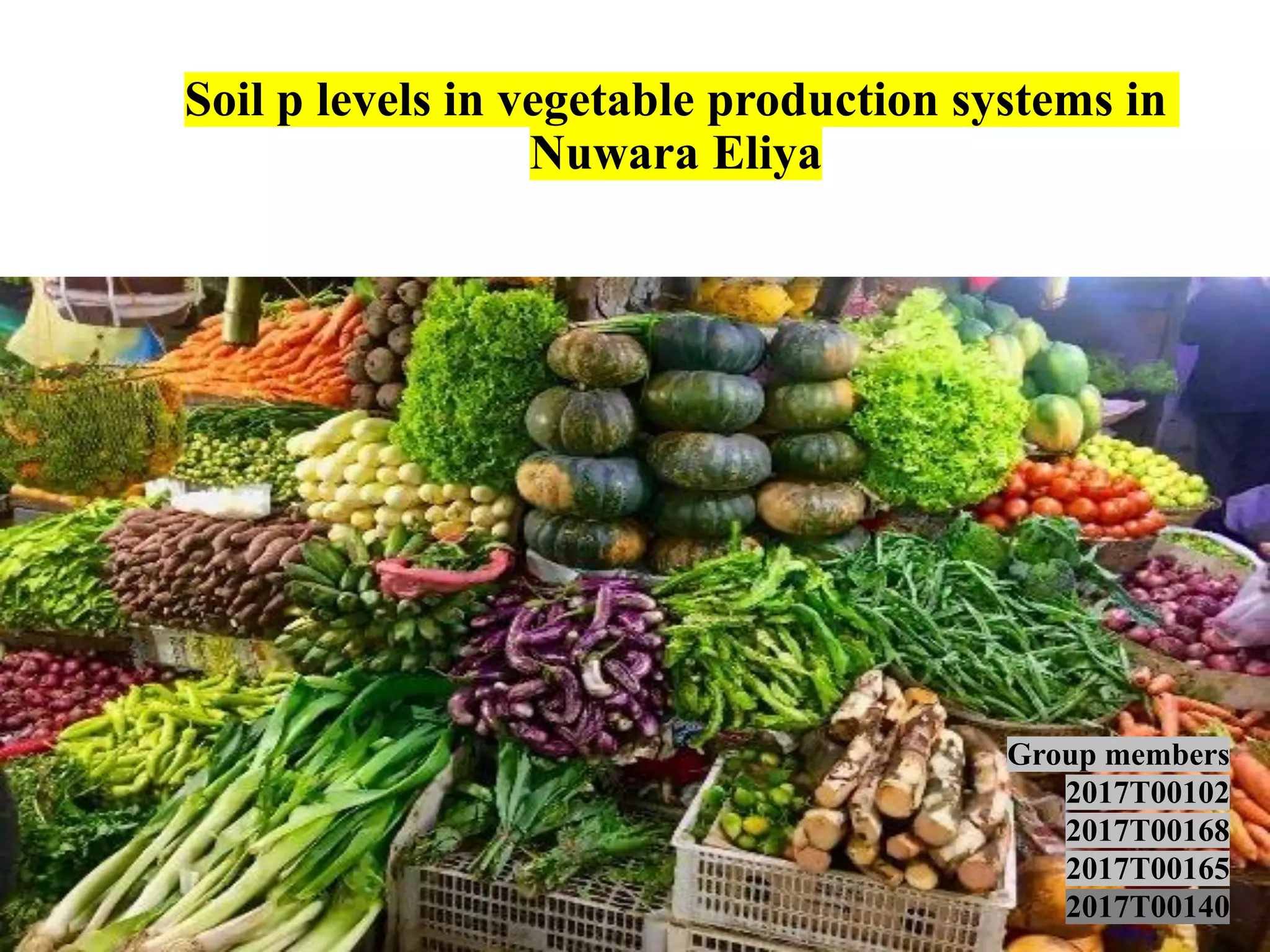 Soil p levels in vegetable production systems in
Nuwara Eliya
Group members
2017T00102
2017T00168
2017T00165
2017T00140
